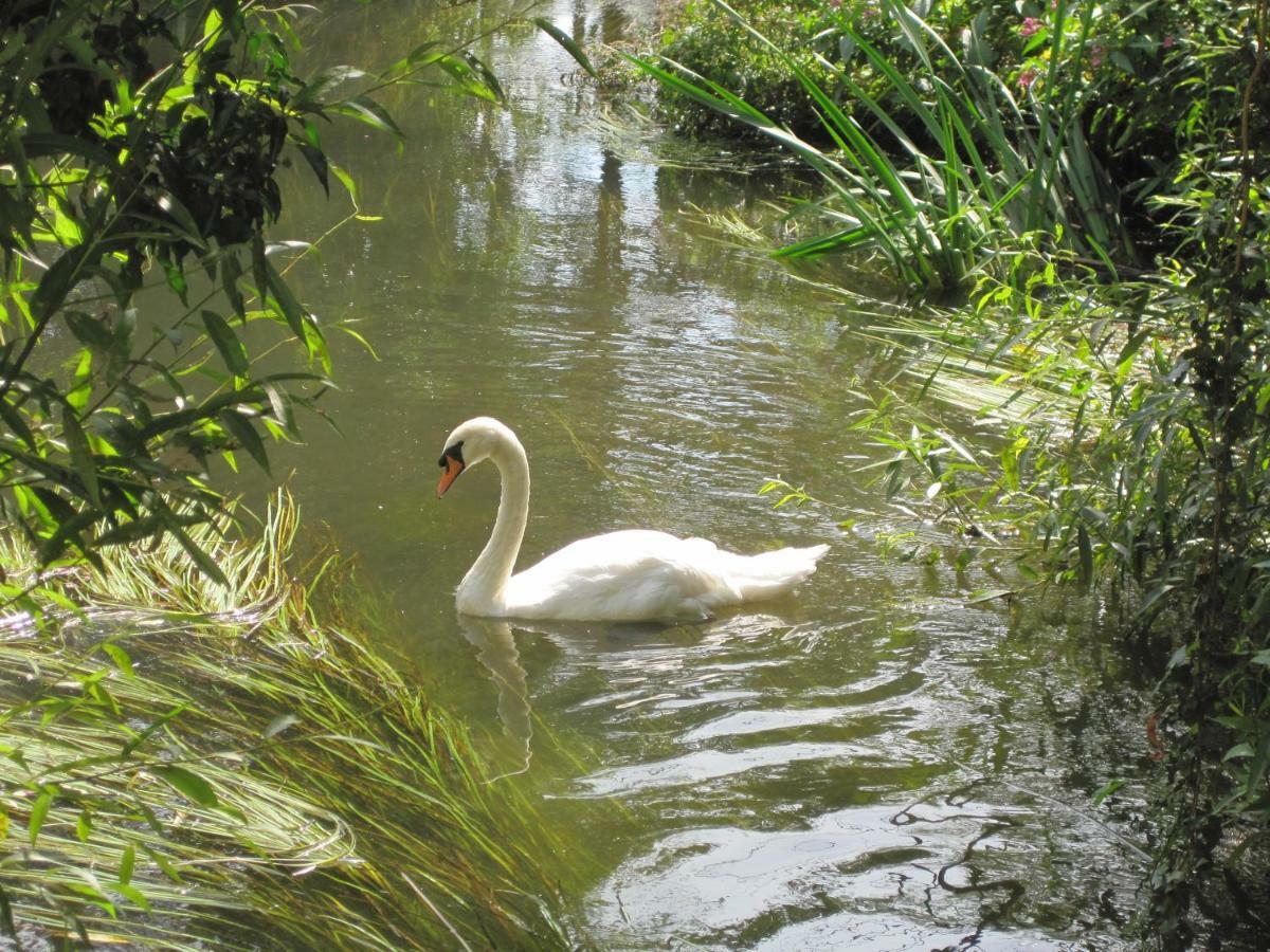 Tilford Mill Cottage Farnham (Surrey) Bagian luar foto